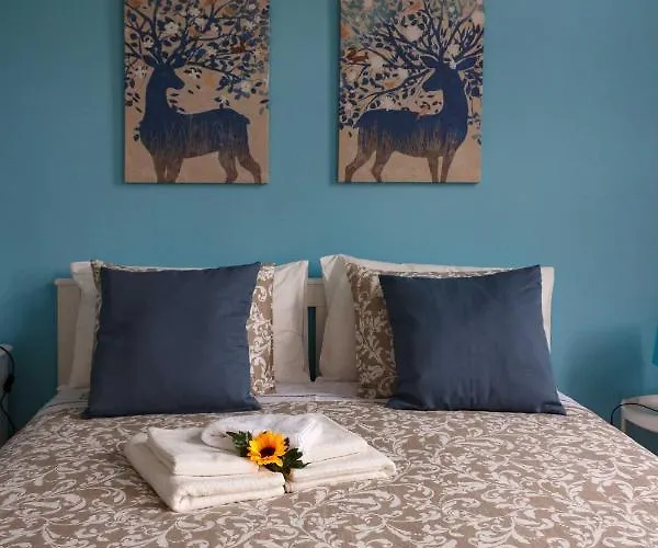 Hotel Flor&fidalgo